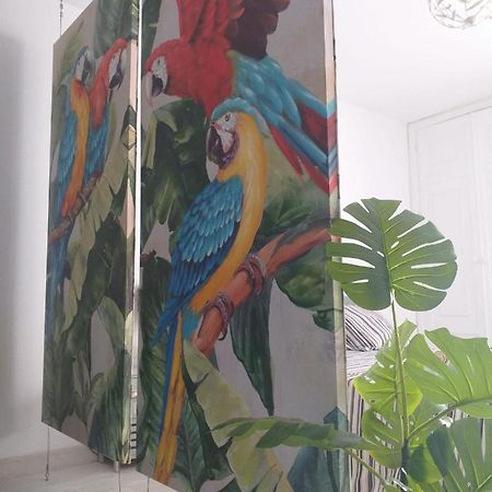 Tropical Loft Apartman Corralejo Kültér fotó